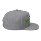 DSNY Embroidered Flat Bill Cap