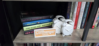 3D-Printed Signs – Custom Name, Saying, Quote, or Message perfect for Bookshelf!